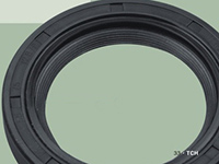 PTFE oil seal